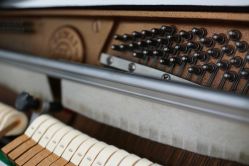 -长兴县妇幼保健院