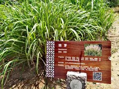 -梁鸿国家湿地公园