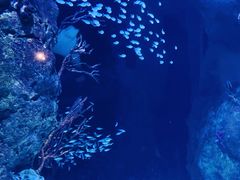 -珠海长隆海洋王国
