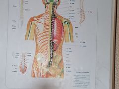 -张钰强中医正骨推拿连锁(华发商都店)