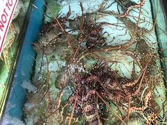 -旗鱼海番村(Orang Asli)