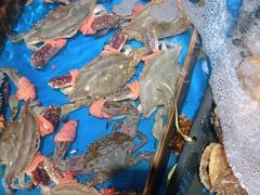 -威海九禧海鲜居渔水饺(经区店)