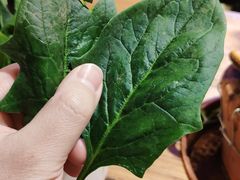 -十六蒲(桂林路店)