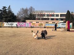 -趣玩宠物乐园寄养训犬训狗游泳池
