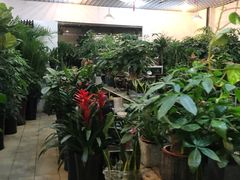 -双季花艺园艺市场(浦东店)
