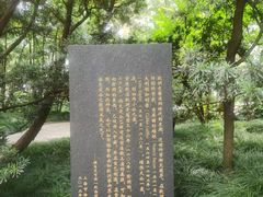 -徐家汇天主堂