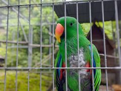 -宁波野生动物园