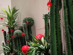 -虾佬圣汤·海鲜姿造(乐堤港店)
