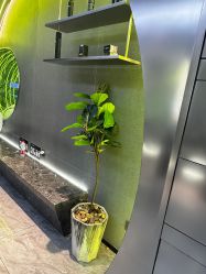 -不迫先生专业男士剪发