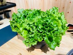 生菜-莱真牛碳火烤肉(合肥旗舰店)