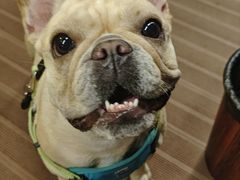 -蛙兔鸡自贡风味·特色江湖菜(广都店)