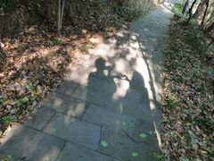 -杭州半山国家森林公园