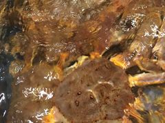 -海景壹号大酒店(滨湖店)