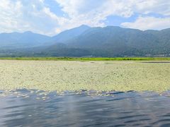 -腾冲北海湿地