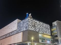 -黄兴南路步行商业街