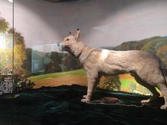 -上海公安博物馆
