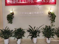 -碧莲盛·不剃发植发
