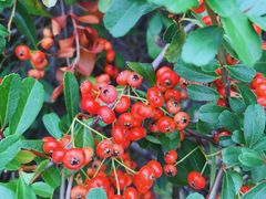 -张江润和国际总部园