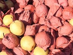 -何庄子阿米玛玛农产品批发市场