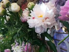 -花里花店(唐镇阳光天地店)