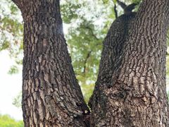 -长沙市青少年宫