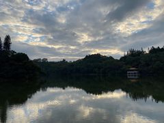 -深圳仙湖植物园