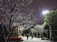 -玉山公园