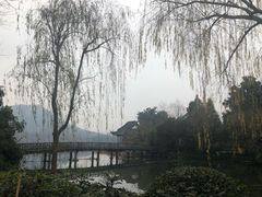 -西湖外事游船(花港观鱼码头)