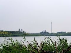-西青郊野公园