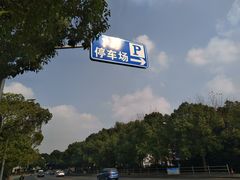 -上海佘山国家森林公园东门地面停车场