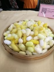 -太湖雪蚕桑文化园