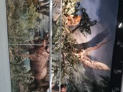 -烟台自然博物馆
