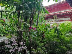 -新加坡佛牙寺龙华院