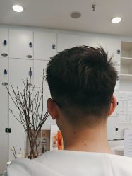 -YESIDO椰岛造型