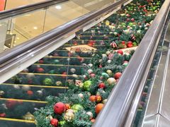 -香港皇家太平洋酒店