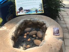 -郑州银基黄帝宫御温泉