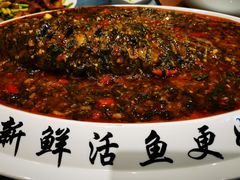 -鲜塘宴·千岛湖大鲫鱼(南湖店)