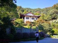 -十八棵（老龙井）御茶园(老龙井店)