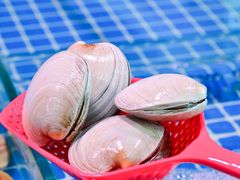 -巽寮印象美食部落餐厅·海鲜·地方特色菜(惠州体验店)