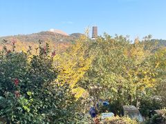 -牛首山文化旅游区