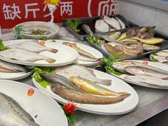 -添福来墨鱼饺子 · 海鲜东北菜(大连星海·黄浦路店)