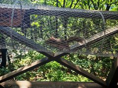 -野三坡百草畔景区