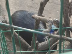-济南野生动物世界