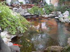 -鲤院·新中式美学·庭院餐厅(夫子庙店)