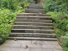 -汤旺河林海奇石景区