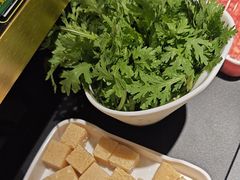 -京悦南门涮羊肉·羊蝎子火锅(田林路店)