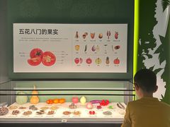 -四川大学博物馆