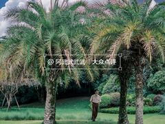 -黄龙溪古镇
