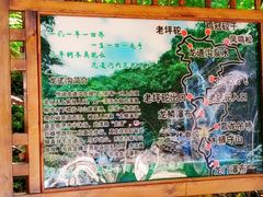 -龙道沟景区