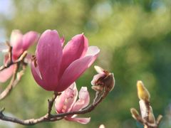 -烈士陵园(地铁站)